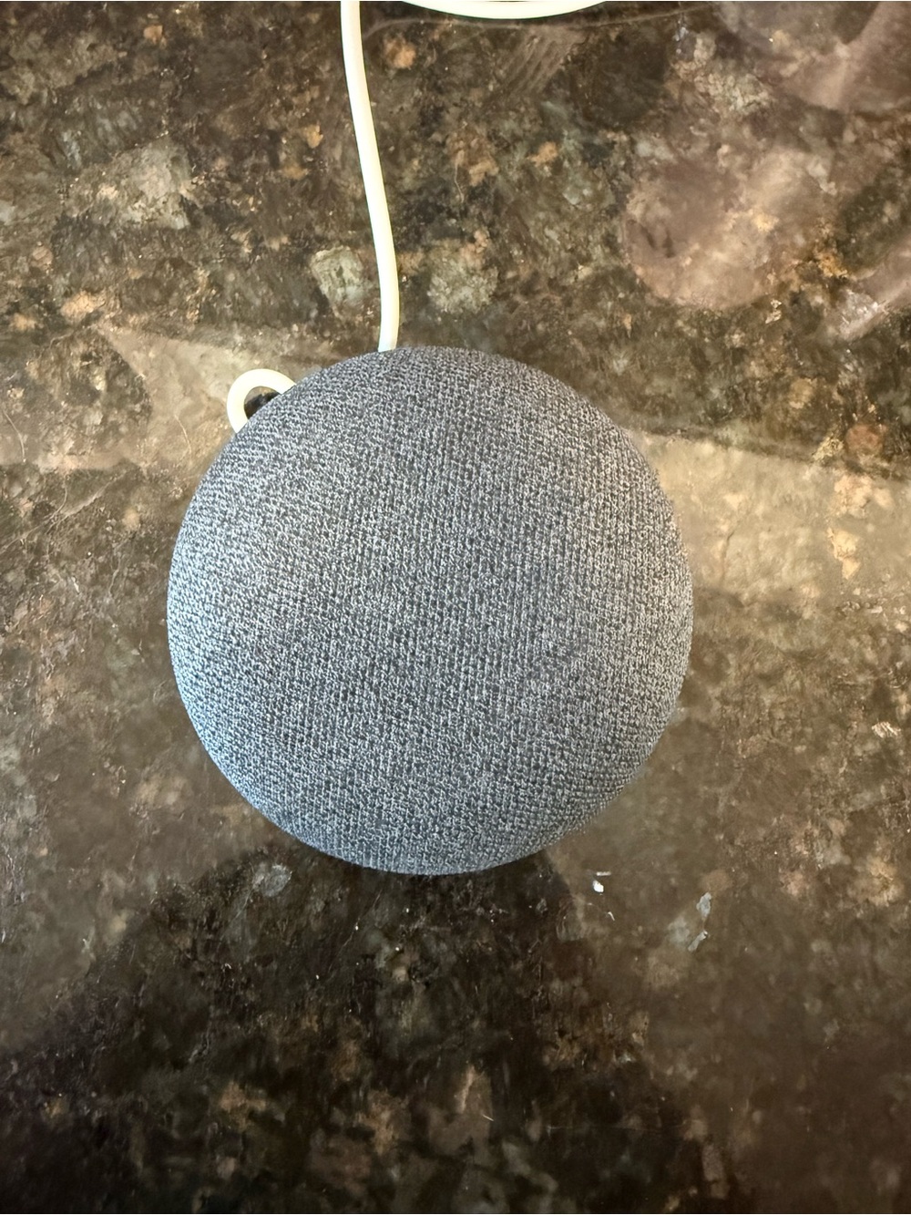 Google Nest Mini